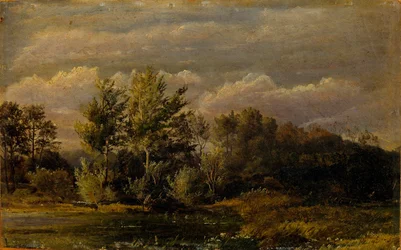 Een bosmeer omringd door berken. Studie.